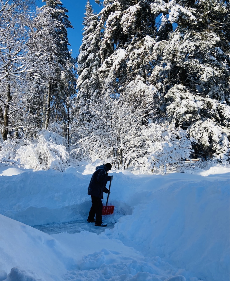 В белом танце февраля...