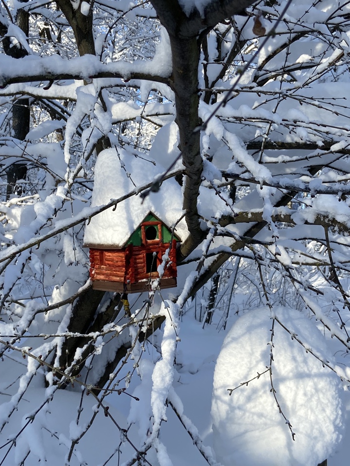 В белом танце февраля...