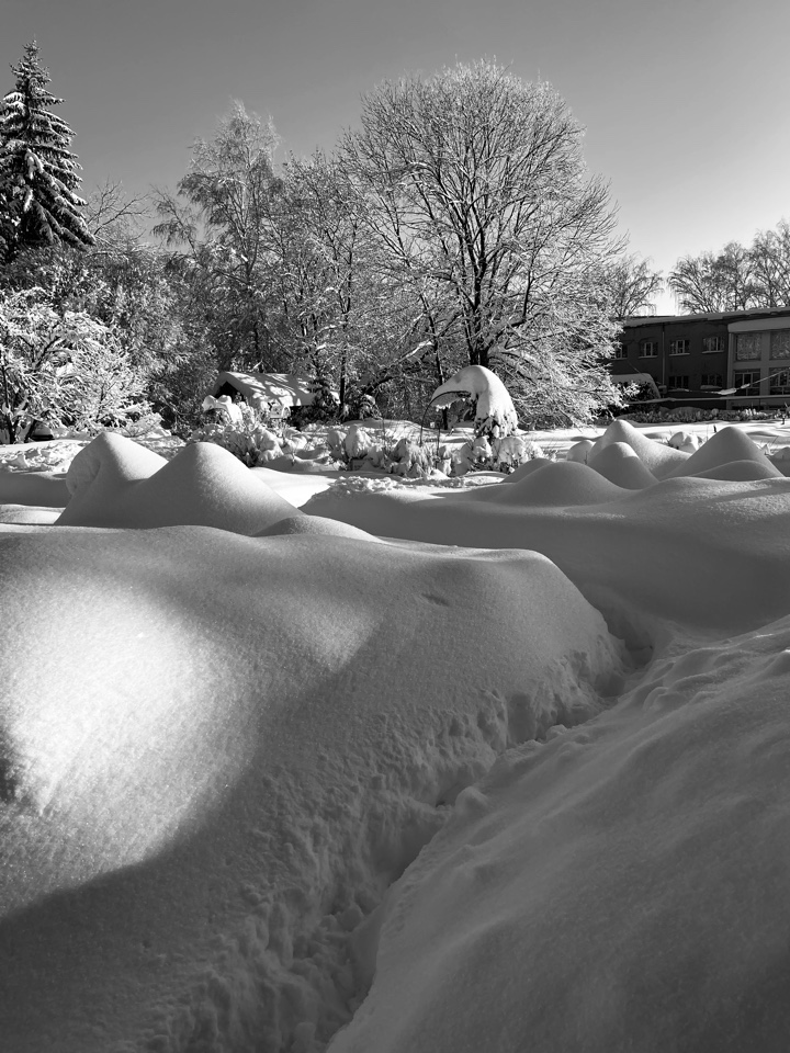 В белом танце февраля...