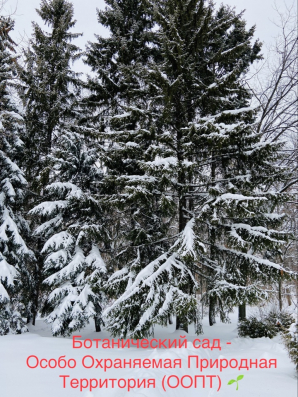 Изменение режима работы ботанического сада